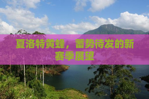 夏洛特黄蜂，蓄势待发的新赛季展望