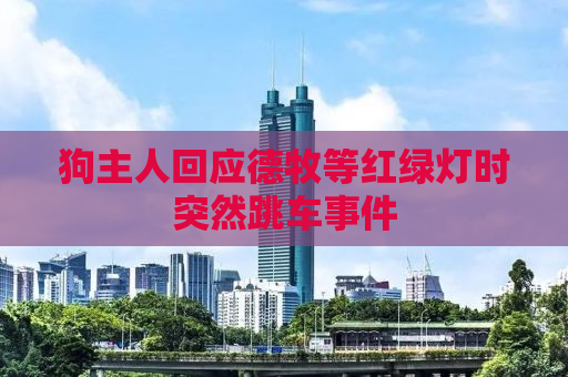 狗主人回应德牧等红绿灯时突然跳车事件