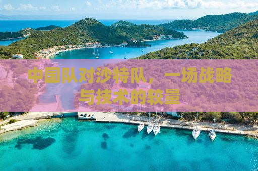 中国队对沙特队，一场战略与技术的较量