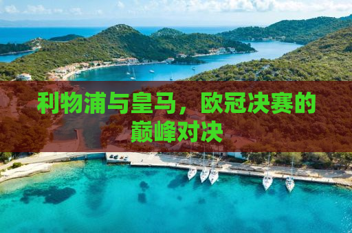 利物浦与皇马，欧冠决赛的巅峰对决