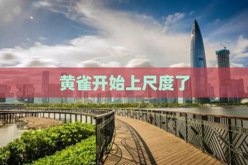 黄雀开始上尺度了