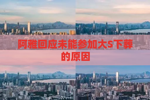 阿雅回应未能参加大S下葬的原因