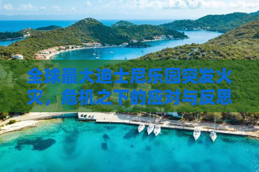 全球最大迪士尼乐园突发火灾，危机之下的应对与反思