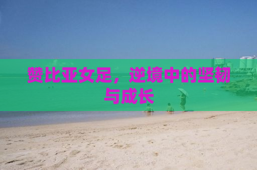 赞比亚女足，逆境中的坚韧与成长
