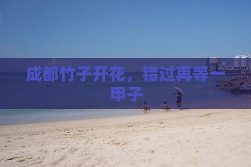 成都竹子开花，错过再等一甲子