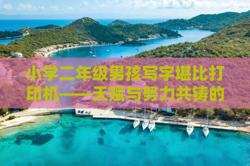 小学二年级男孩写字堪比打印机——天赋与努力共铸的奇迹