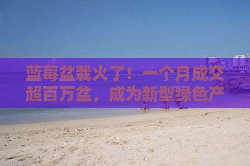 蓝莓盆栽火了！一个月成交超百万盆，成为新型绿色产业的新宠