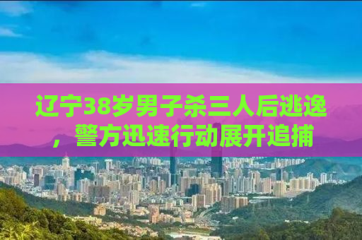 辽宁38岁男子杀三人后逃逸，警方迅速行动展开追捕