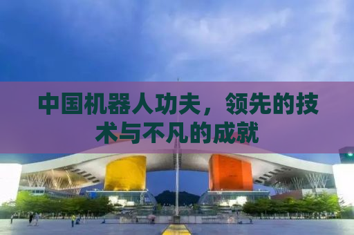 中国机器人功夫，领先的技术与不凡的成就