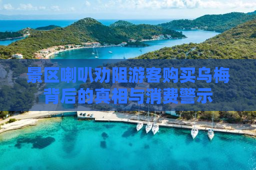 景区喇叭劝阻游客购买乌梅背后的真相与消费警示