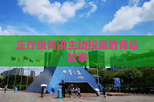 正厅级肖洪主动投案的背后故事