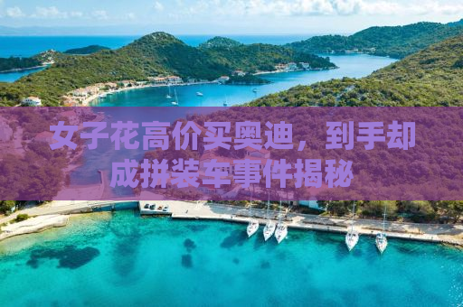 女子花高价买奥迪，到手却成拼装车事件揭秘