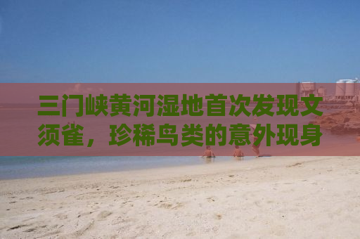 三门峡黄河湿地首次发现文须雀，珍稀鸟类的意外现身与生态保护的新篇章