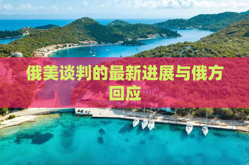 俄美谈判的最新进展与俄方回应