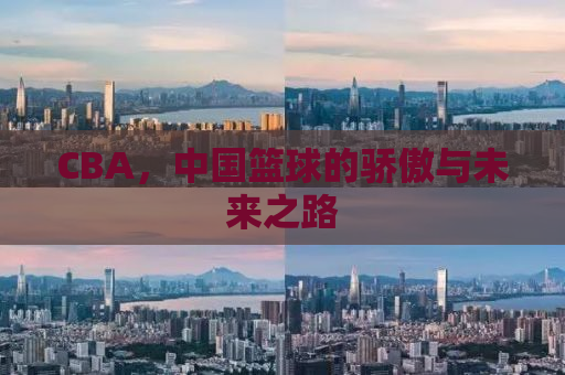 CBA，中国篮球的骄傲与未来之路