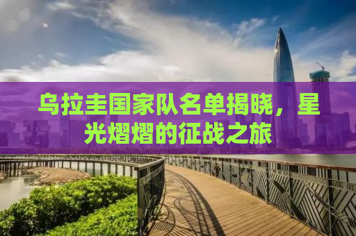 乌拉圭国家队名单揭晓，星光熠熠的征战之旅