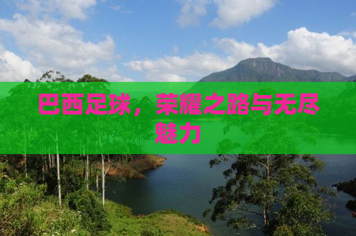 巴西足球，荣耀之路与无尽魅力