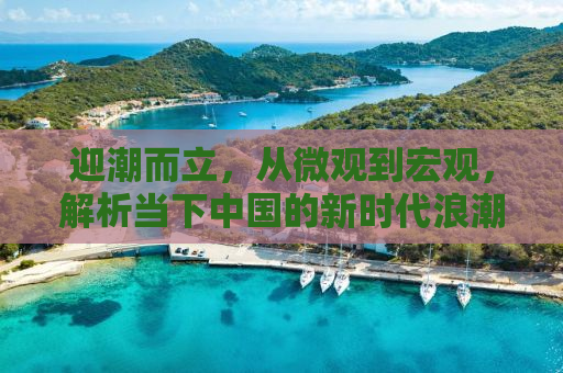 迎潮而立，从微观到宏观，解析当下中国的新时代浪潮