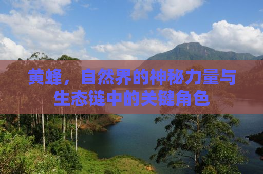 黄蜂，自然界的神秘力量与生态链中的关键角色