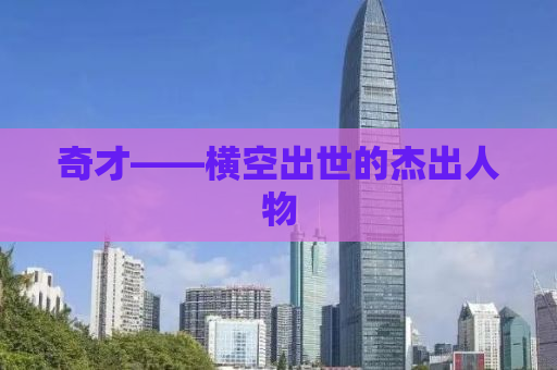 奇才——横空出世的杰出人物