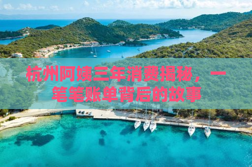杭州阿姨三年消费揭秘，一笔笔账单背后的故事
