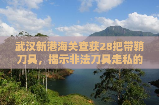 武汉新港海关查获28把带鞘刀具，揭示非法刀具走私的隐患与应对之道