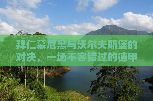 拜仁慕尼黑与沃尔夫斯堡的对决，一场不容错过的德甲盛宴
