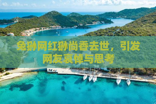兔狲网红狲尚香去世，引发网友哀悼与思考