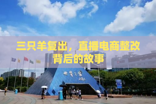 三只羊复出，直播电商整改背后的故事