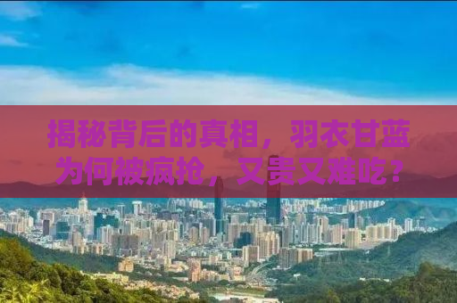 揭秘背后的真相，羽衣甘蓝为何被疯抢，又贵又难吃？