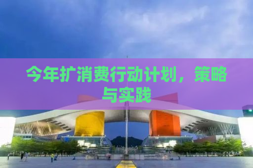 今年扩消费行动计划，策略与实践