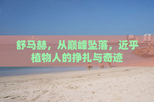 舒马赫，从巅峰坠落，近乎植物人的挣扎与奇迹