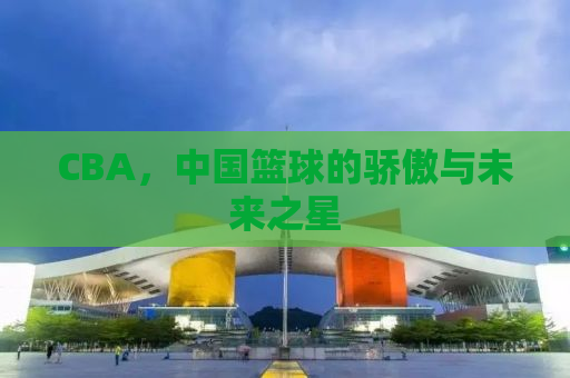 CBA，中国篮球的骄傲与未来之星