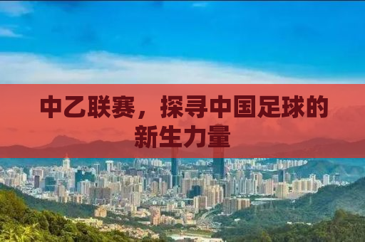 中乙联赛，探寻中国足球的新生力量