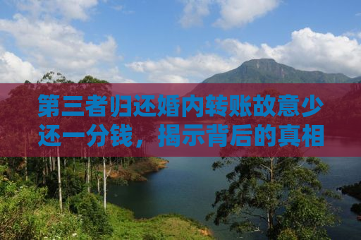 第三者归还婚内转账故意少还一分钱，揭示背后的真相与道德困境