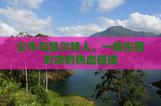 公牛与凯尔特人，一场东西对决的热血碰撞