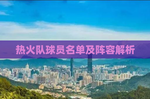 热火队球员名单及阵容解析