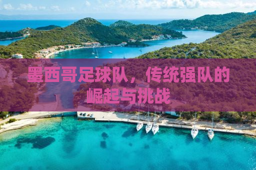 墨西哥足球队，传统强队的崛起与挑战