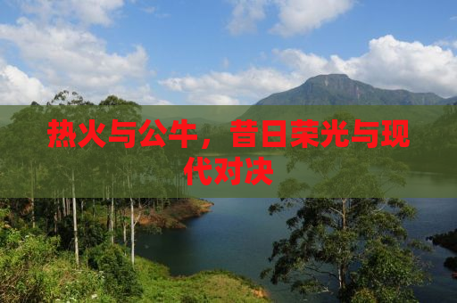 热火与公牛，昔日荣光与现代对决
