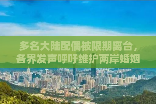 多名大陆配偶被限期离台，各界发声呼吁维护两岸婚姻与家庭权益