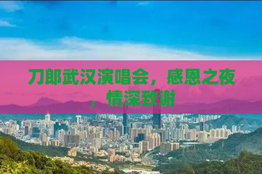 刀郎武汉演唱会，感恩之夜，情深致谢