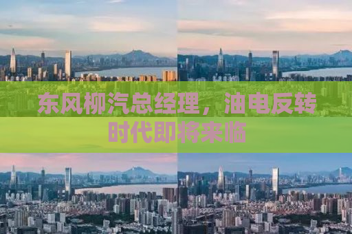 东风柳汽总经理，油电反转时代即将来临