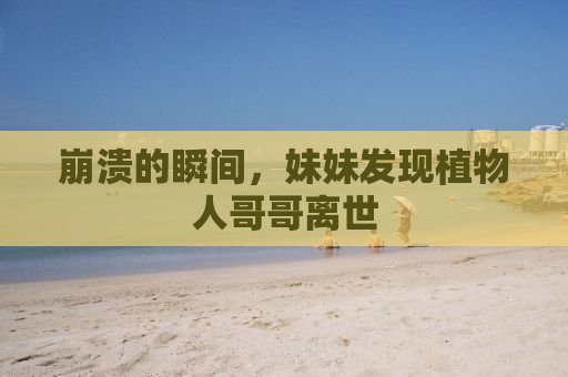 崩溃的瞬间，妹妹发现植物人哥哥离世
