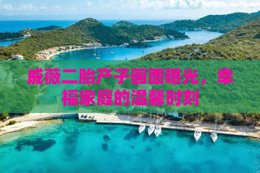 戚薇二胎产子画面曝光，幸福家庭的温馨时刻