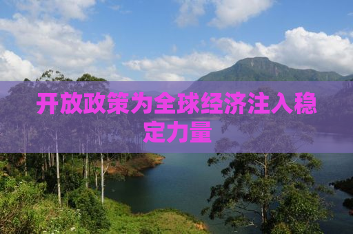 开放政策为全球经济注入稳定力量