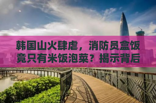 韩国山火肆虐，消防员盒饭竟只有米饭泡菜？揭示背后的真相与挑战
