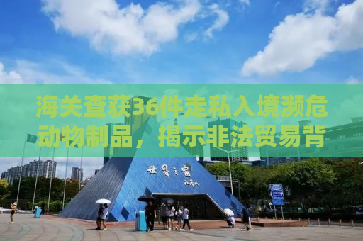 海关查获36件走私入境濒危动物制品，揭示非法贸易背后的利益链与保护行动的重要性