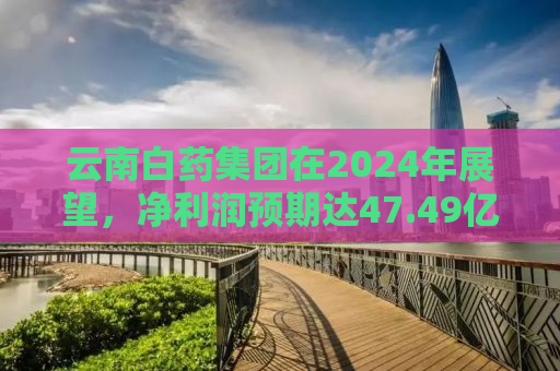 云南白药集团在2024年展望，净利润预期达47.49亿元的雄心壮志