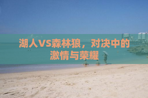 湖人VS森林狼，对决中的激情与荣耀