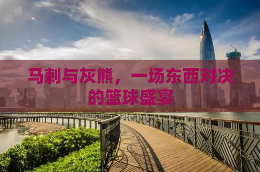 马刺与灰熊，一场东西对决的篮球盛宴